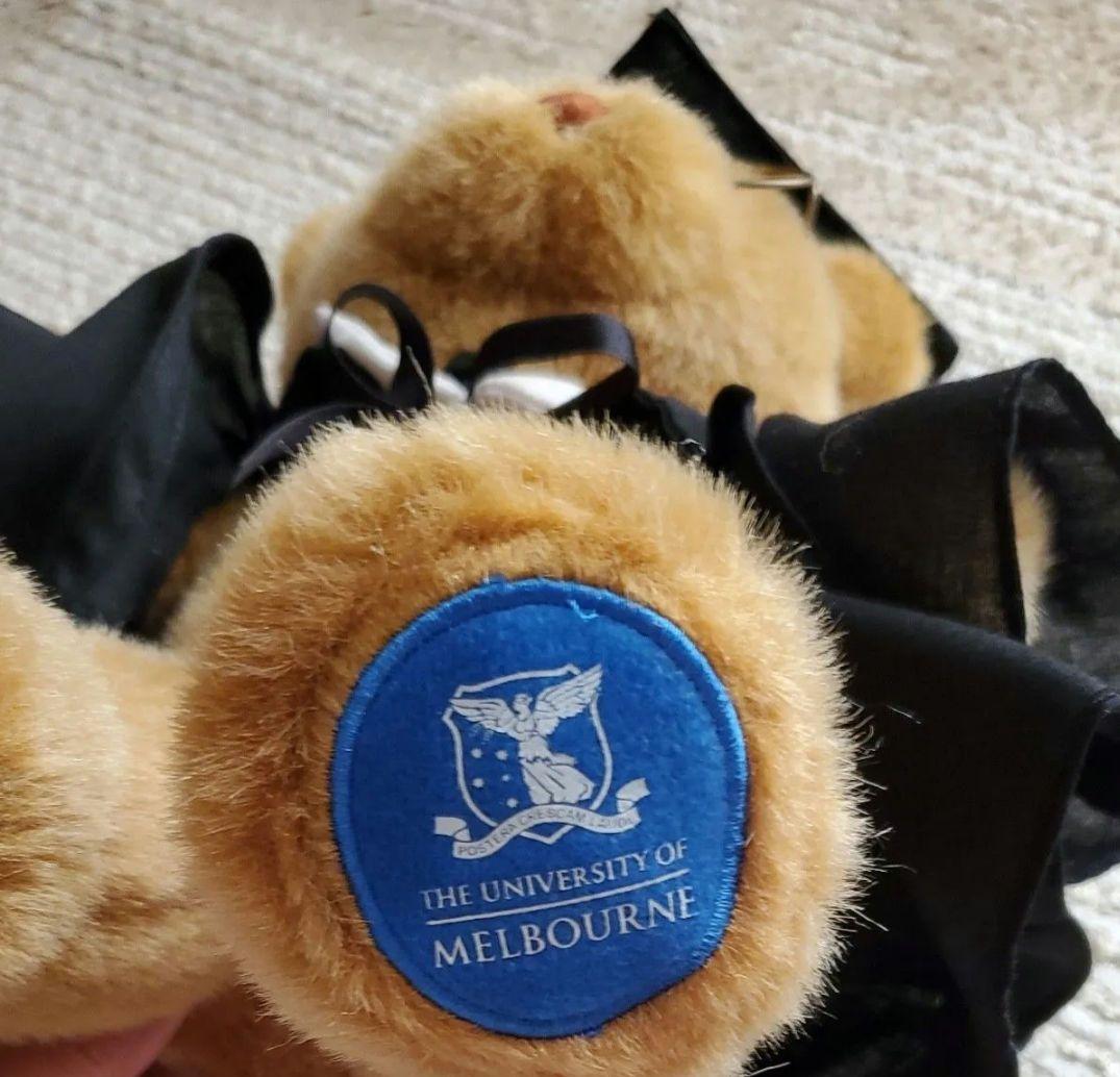 メルボルン大学 くまのぬいぐるみ