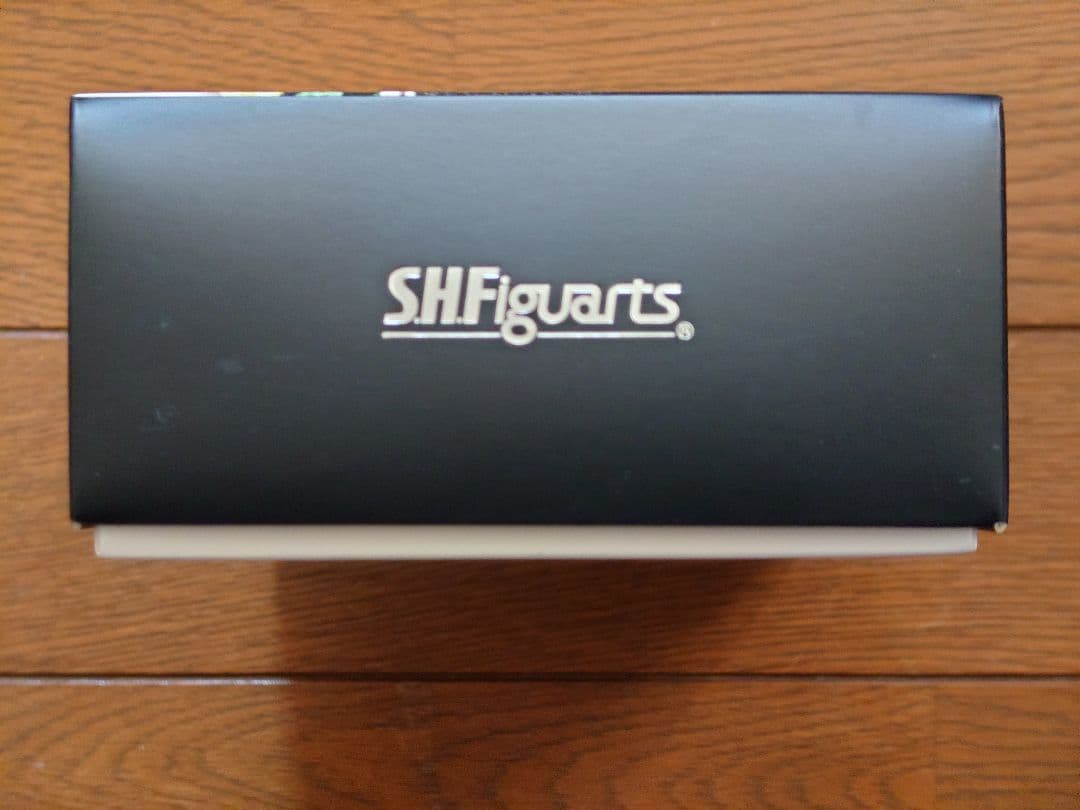 S.H.Figuarts（真骨彫）仮面ライダーＷ サイクロンジョーカー