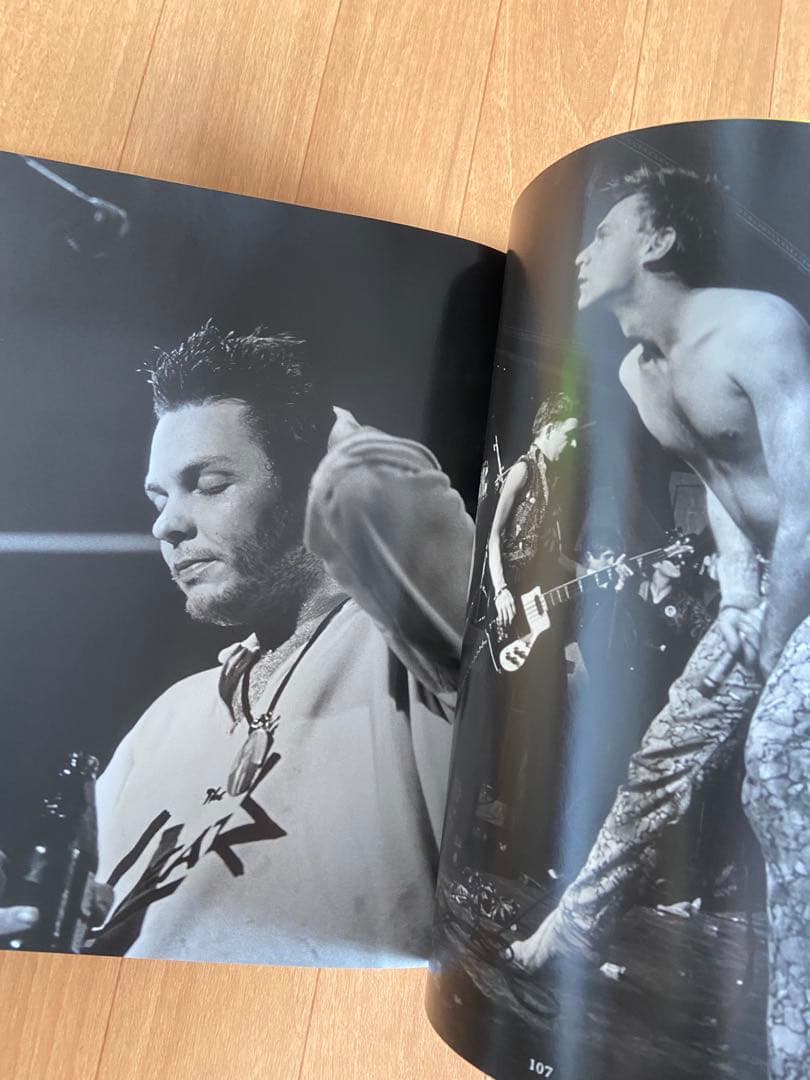 THE BEAUTIFUL & THE DAMNED 写真集 Ann Summa