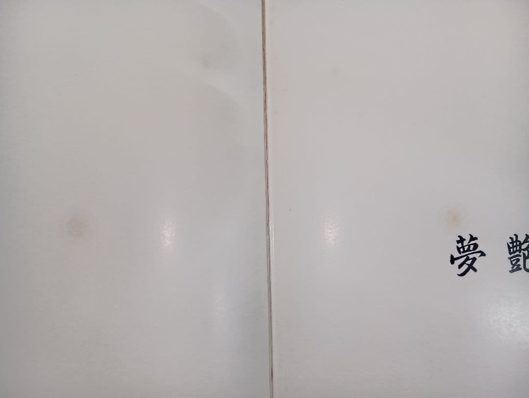 夢艶肌絵　（入墨/刺青をした女性の写真集）竹書房