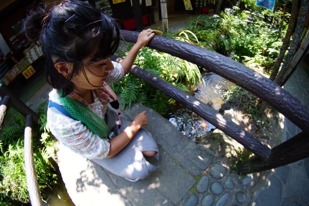 魚眼レンズ！単焦点レンズ！フィッシュアイレンズ！FUJIFILM Xシリーズ対応