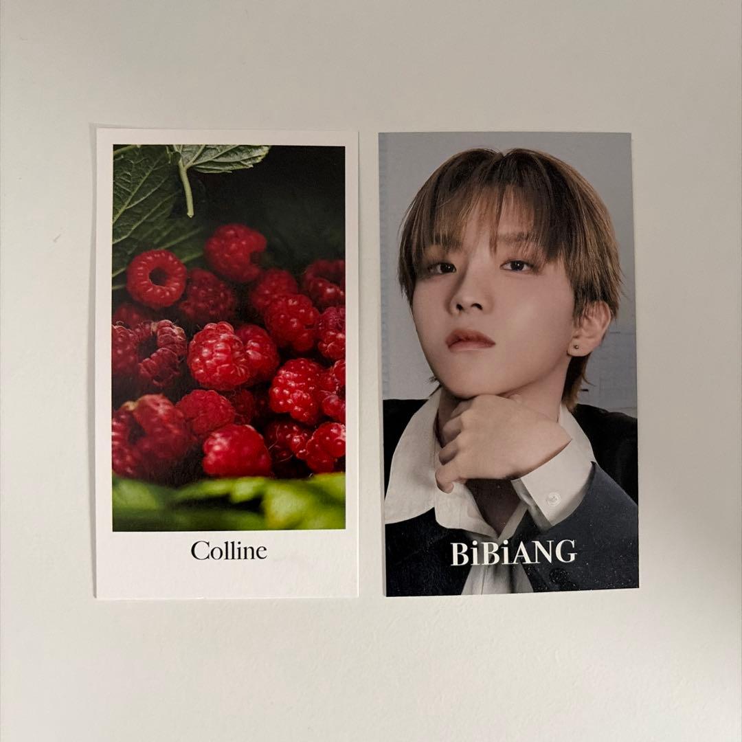 BiBiANG ウナク トレカ ボネクド BOYNEXTDOOR - メルカリ