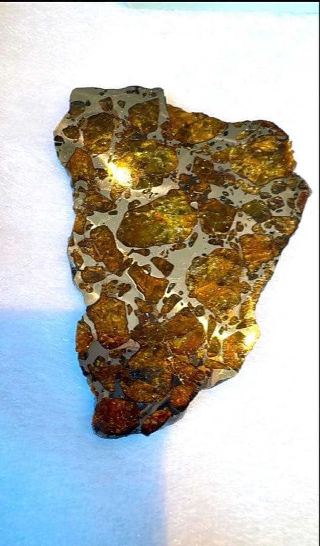 【存在感が段違い】28.0g イミラックパラサイト隕石標本（東京サイエンス購入）