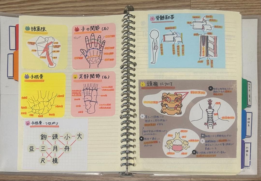 理学療法士 作業療法士 まとめノート、ふせんノート 【コピー】 - メルカリ