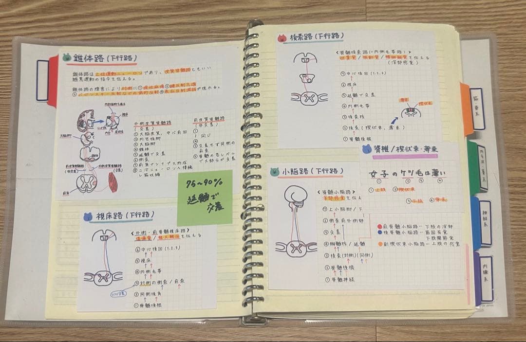 理学療法士 作業療法士 まとめノート、ふせんノート 【コピー】 - メルカリ
