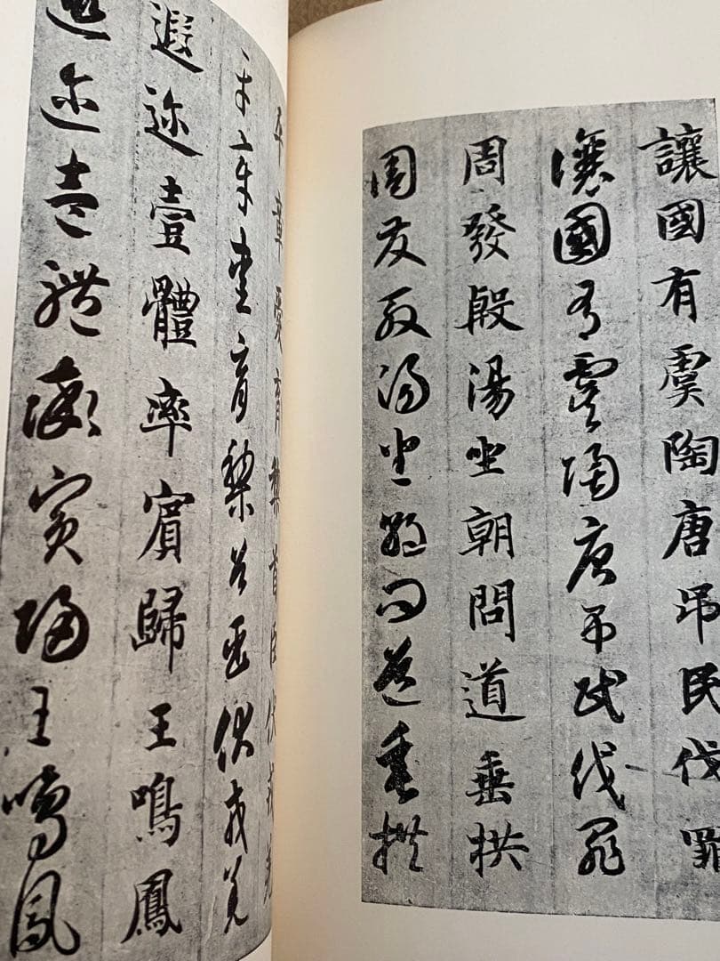 書跡名品叢刊 二玄社 北魏 東晋 隋 8冊セット 函付き 書道 書 本 参考