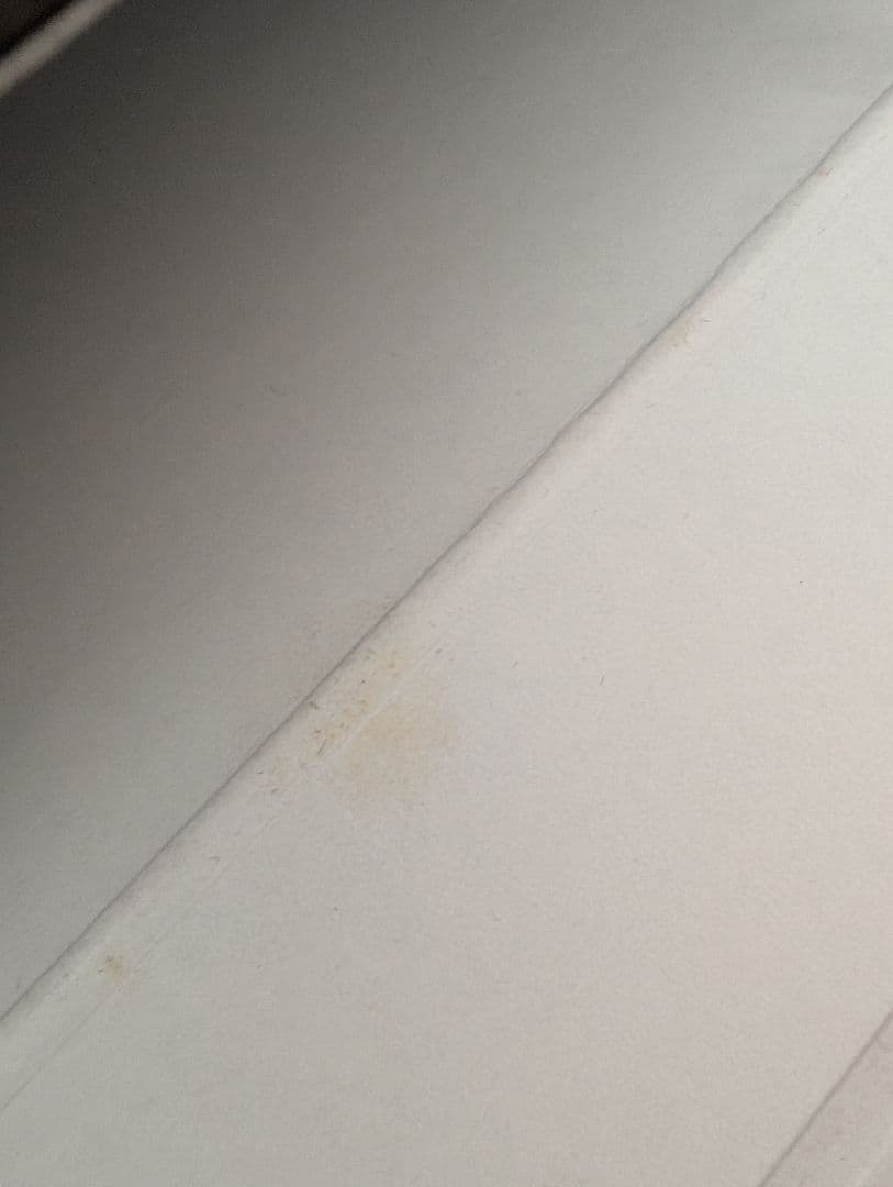 S*5様 シリアルナンバー 13番 ライカ、写真によるその歴史 ジェームス