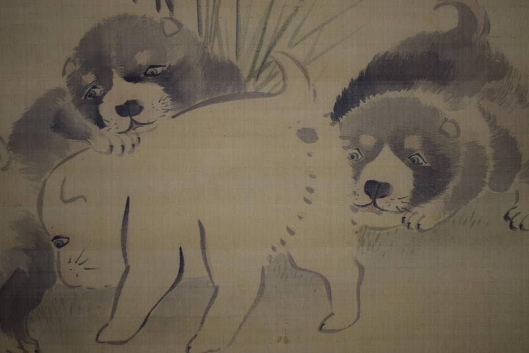 不詳/作者不詳/仔犬図/子犬図/干支図/布袋屋掛軸HJ-10 不詳/作者不詳/仔犬図/子犬図/干支図/布袋屋掛軸HJ-10 不詳/作者不詳