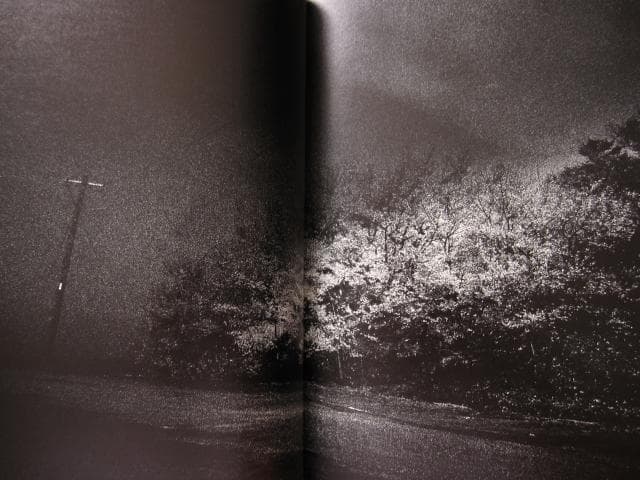 ANGO 森山大道 Daido Moriyama 直筆サイン入り - メルカリ