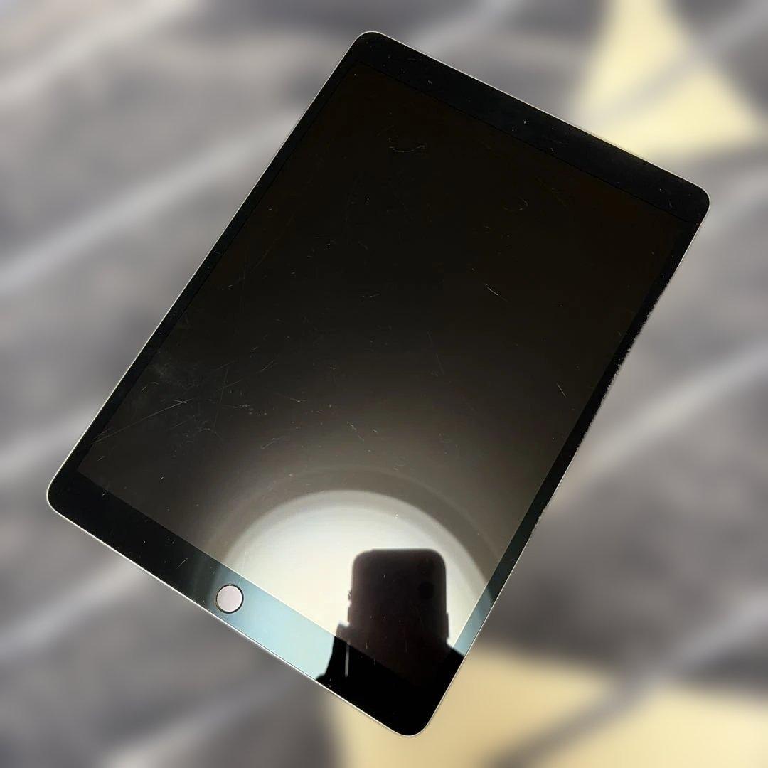 超美品Docomo iPad mini 4 Cellular SIM解除NG