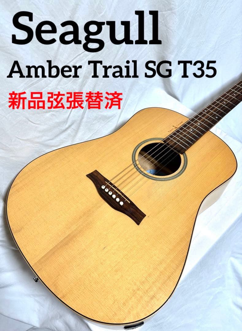 【新品弦張替済】Seagull エレアコ Amber Trail SG T35 4a92a83dd0Lp42A3DhfPPa4ijCUnwF