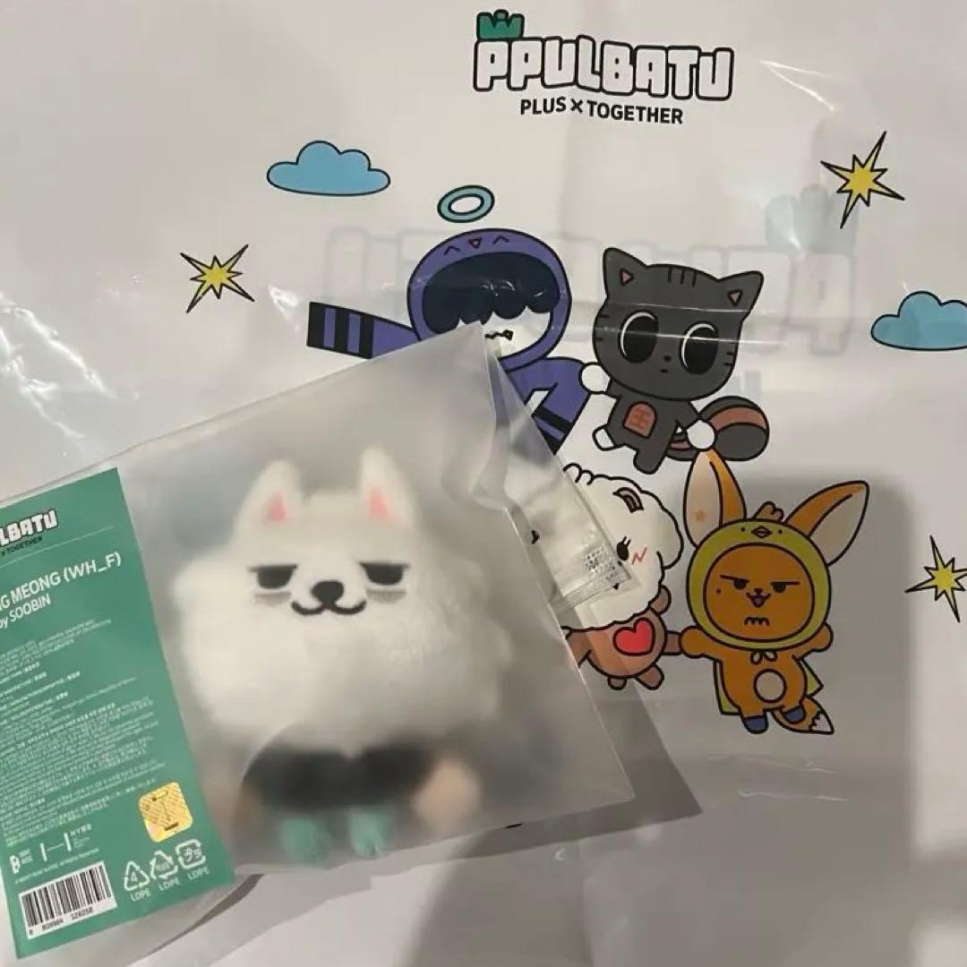 TXT CHOI YONG MEONG TXT プルバトゥ ヨンモン スビン - メルカリ