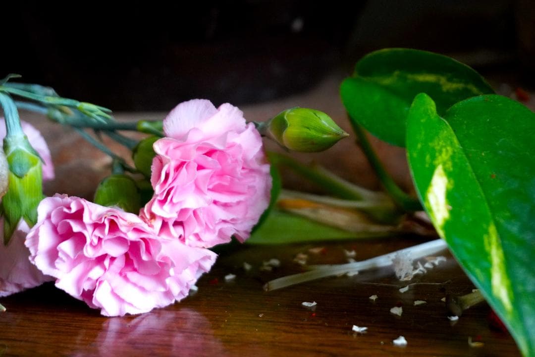 レンズ(ズーム) SONY E PZ 16-50mm F3.5-5.6 OSS SEL1650