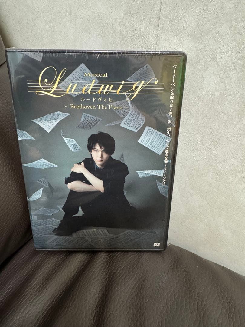 ミュージカル『ルードヴィヒ』DVD - メルカリ