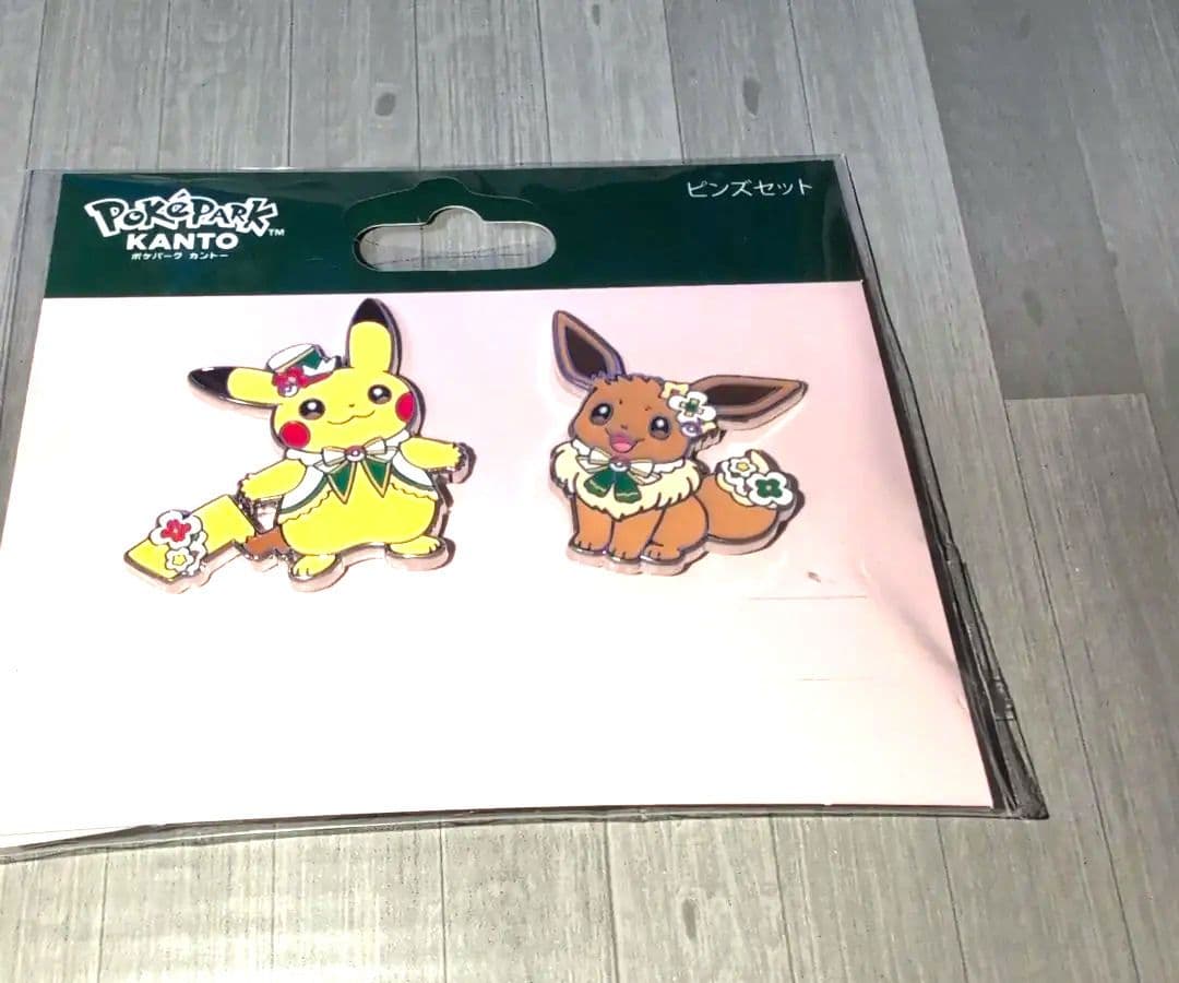 ポケモン ポケパークカントー ピカチュウ イーブイ ピンズセット