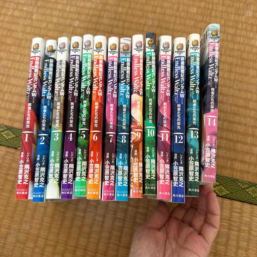 新機動戦記ガンダムW Endless Waltz 敗者たちの栄光 1〜14巻 Amazon.co.jp: 新機動戦記ガンダムW Endless Waltz 敗者たちの栄光 (1