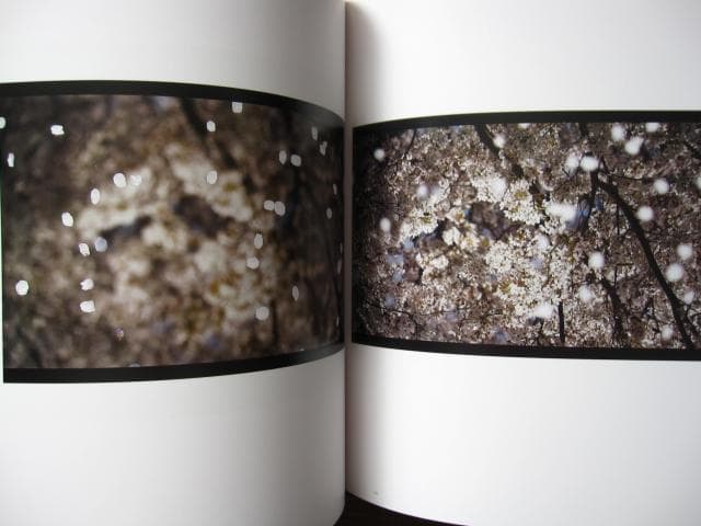 意識の流れ Stream of consciousness 鈴木理策 チラシ付き - メルカリ