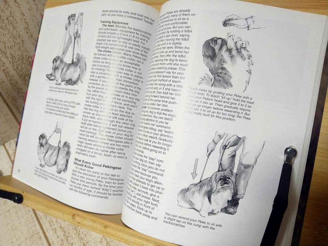 ペキニーズ書籍4冊セット 本 洋書 写真 pekingese PEKINGESE - メルカリ