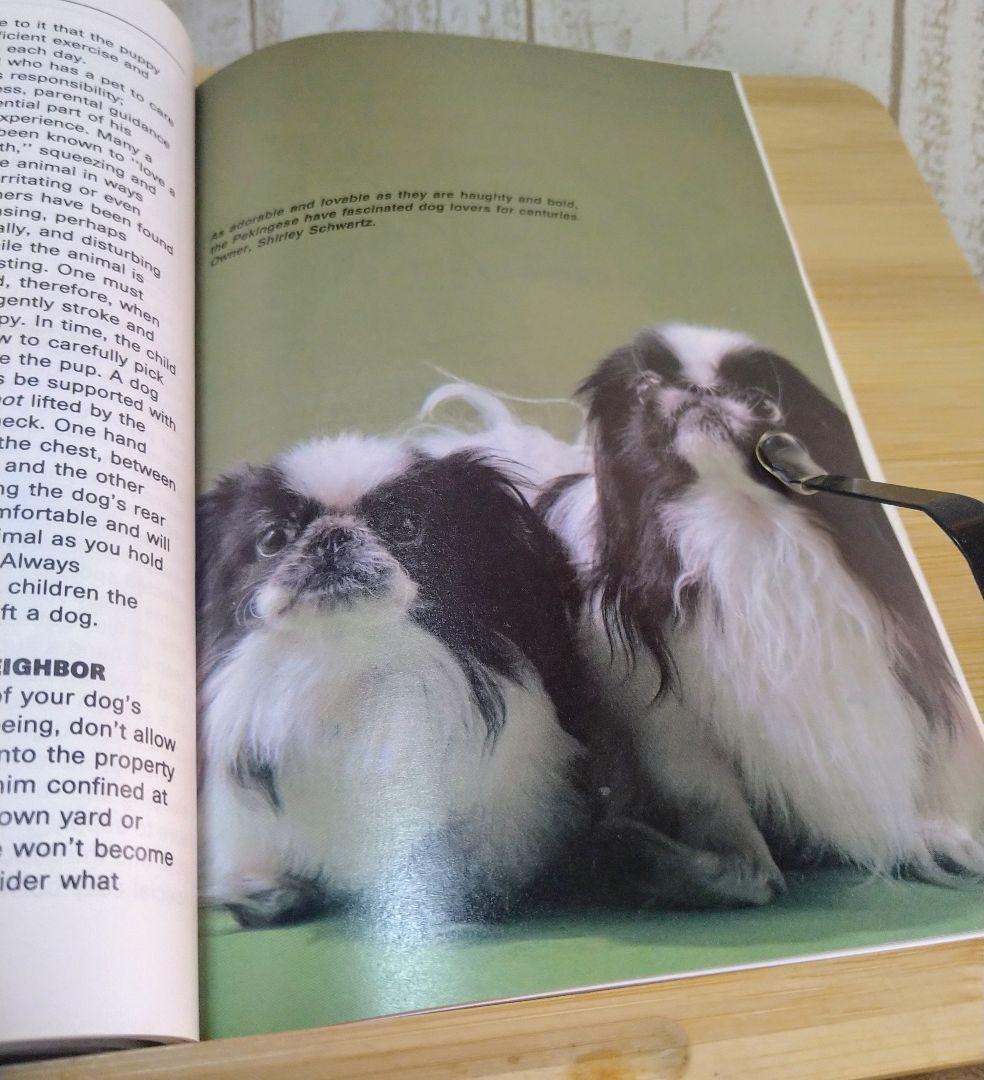 ペキニーズ書籍4冊セット 本 洋書 写真 pekingese PEKINGESE - メルカリ