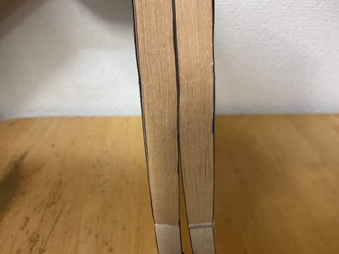 削觚廬印存 呉昌碩 秦漢遺意 2冊 帙入 中国 篆刻