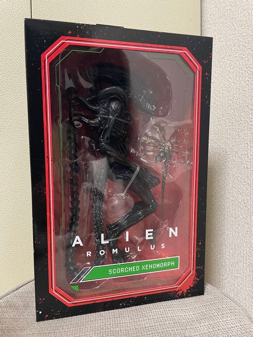 コリンシアン ミラン チャンピオンズオブヨーロッパ セレブレーション