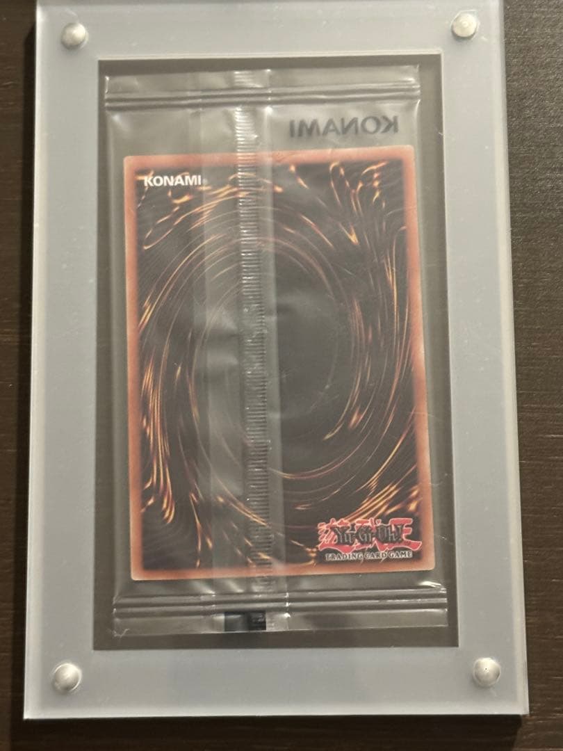 青眼の亜白龍 北米 ブルーシークレット ブルシク 未開封 540枚限定