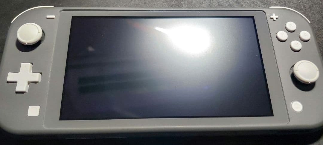 Nintendo Switch Lite グレー 本体のみ　通常モデル Nintendo Switch 【新品】Nintendo Lite グレー スイッチライト本体