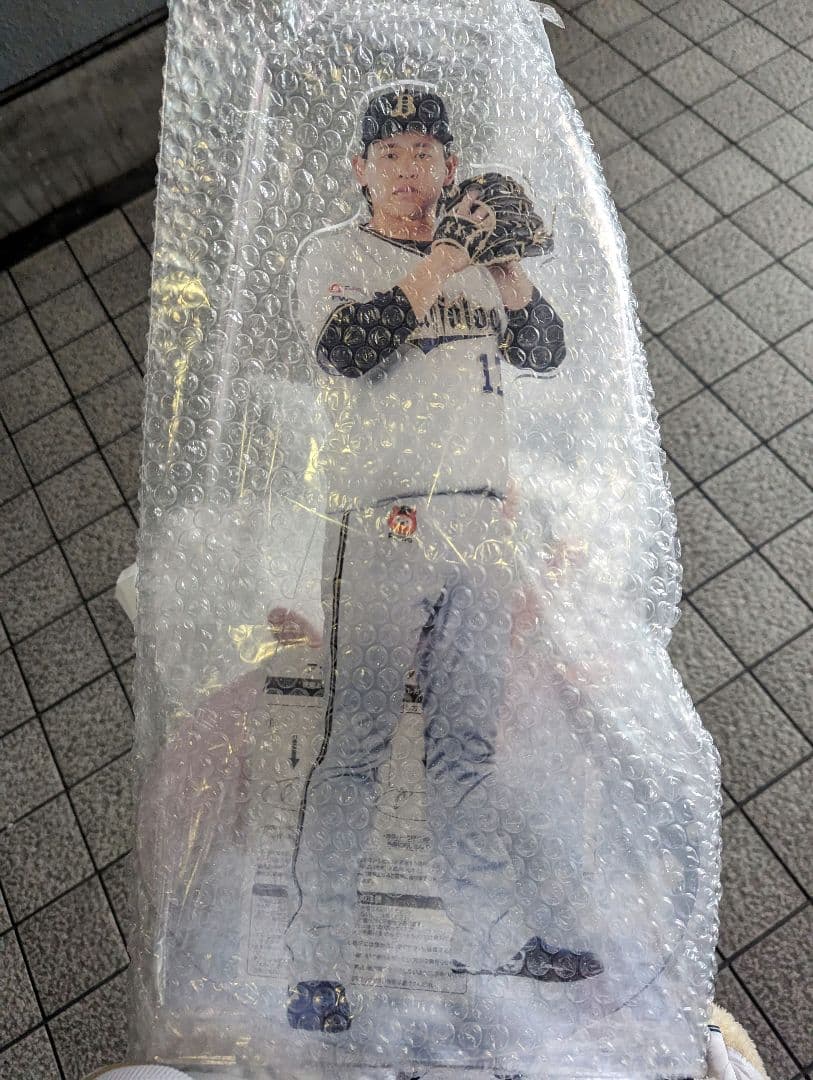 直筆サイン色紙 北海道日本ハムファイターズ ダルビッシュ有