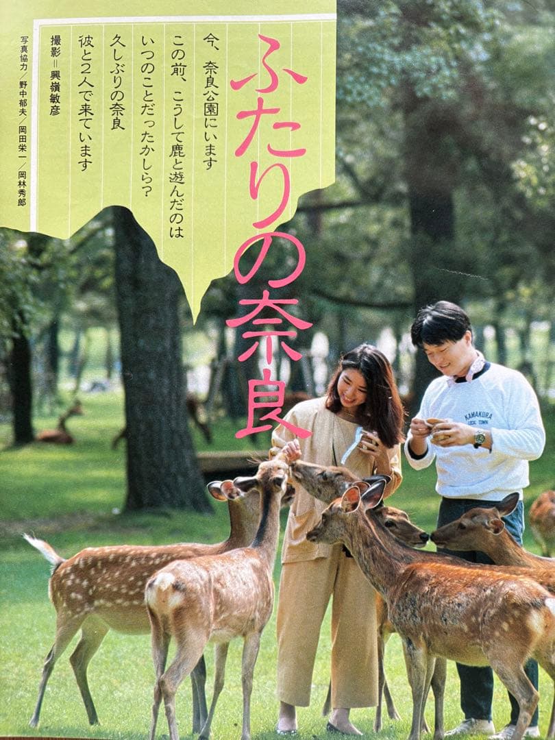 るるぶ 奈良・大和路・紅葉の日光・尾瀬 1984年 - メルカリ