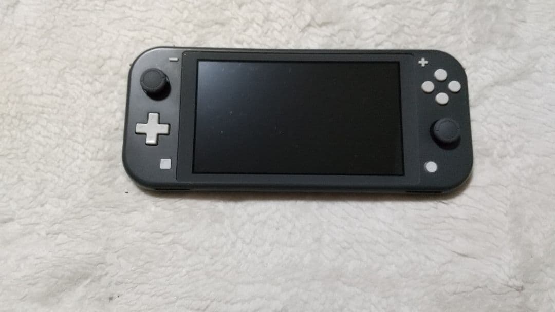 Nintendo Switch Lite グレー 本体 動作品 新品 (任天堂 Nintendo Switch Lite グレー )4902370542929 ライト