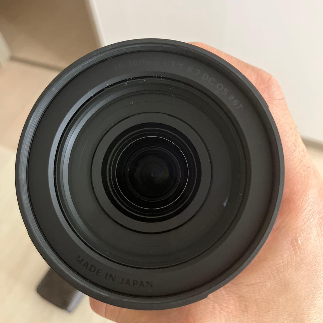 sigma 16-300mm f3.5-6.7 DC OS Lマウント
