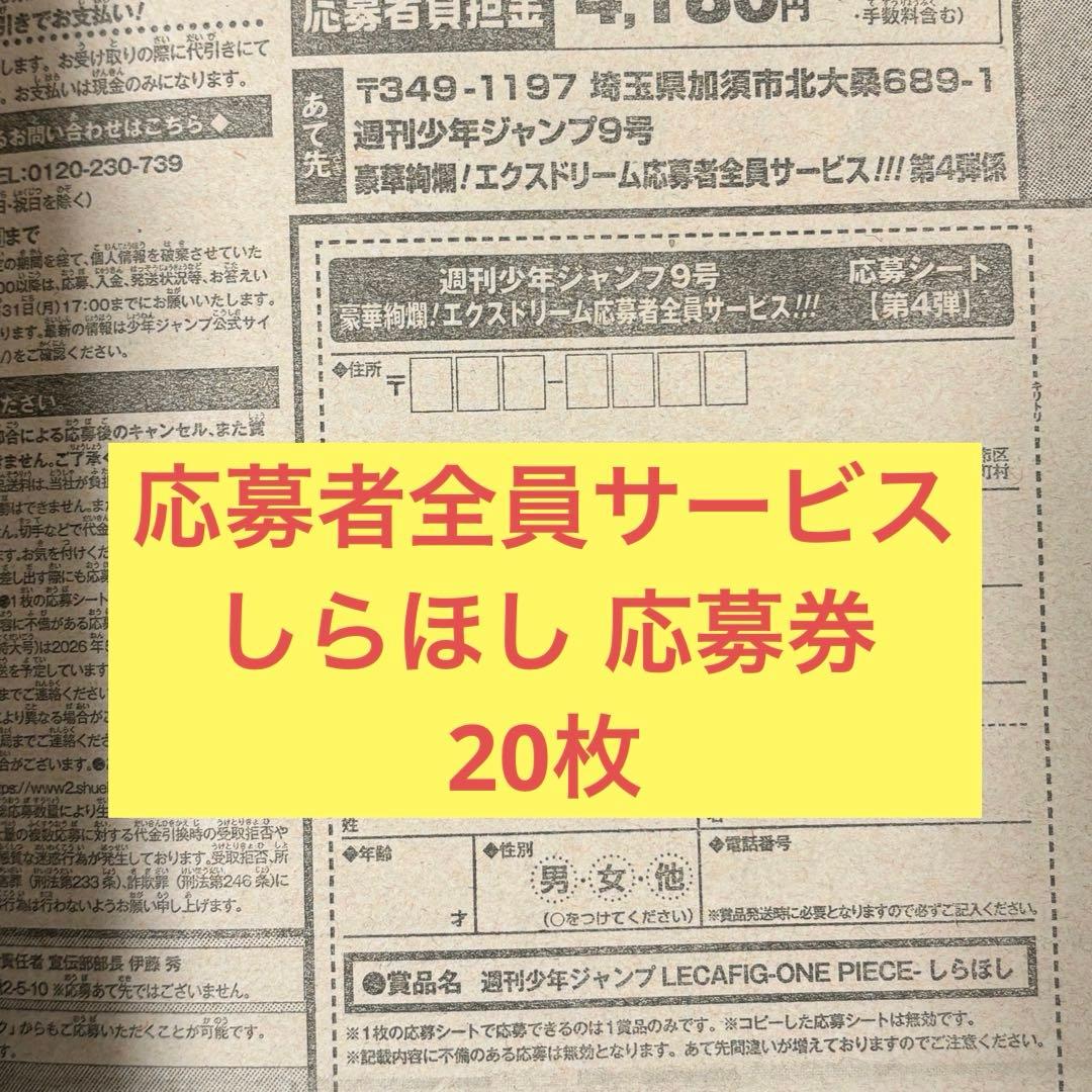 週刊少年ジャンプ 応募者全員サービス レカフィグ しらほし 応募券 20
