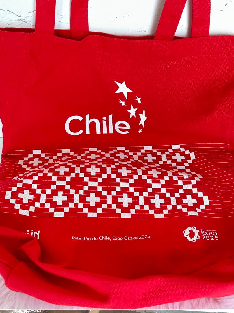大阪 関西万博 チリパビリオンノベルティ 非売品 - メルカリ