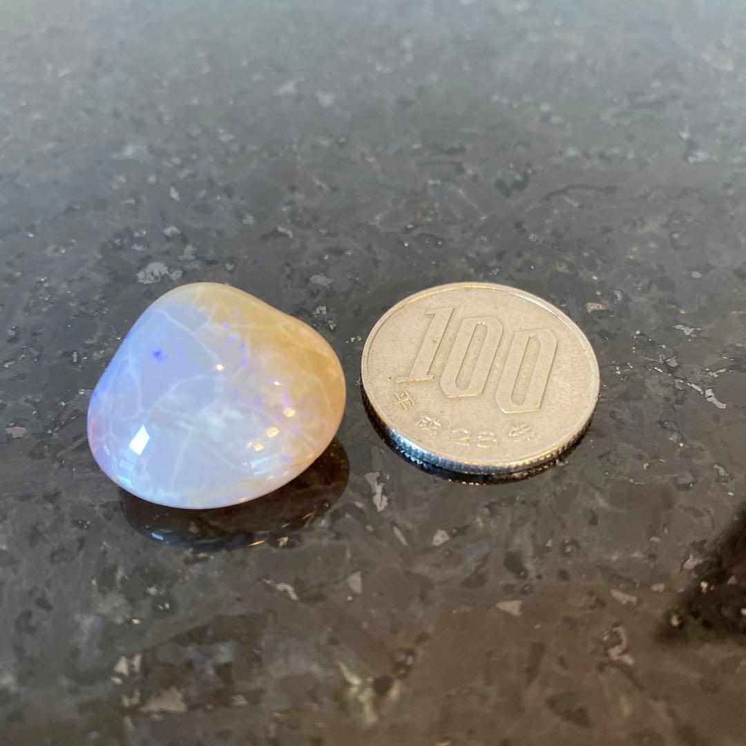 希少品♡入手困難】貝化石オパール 化石 二枚貝 自然光にて撮影 - メルカリ