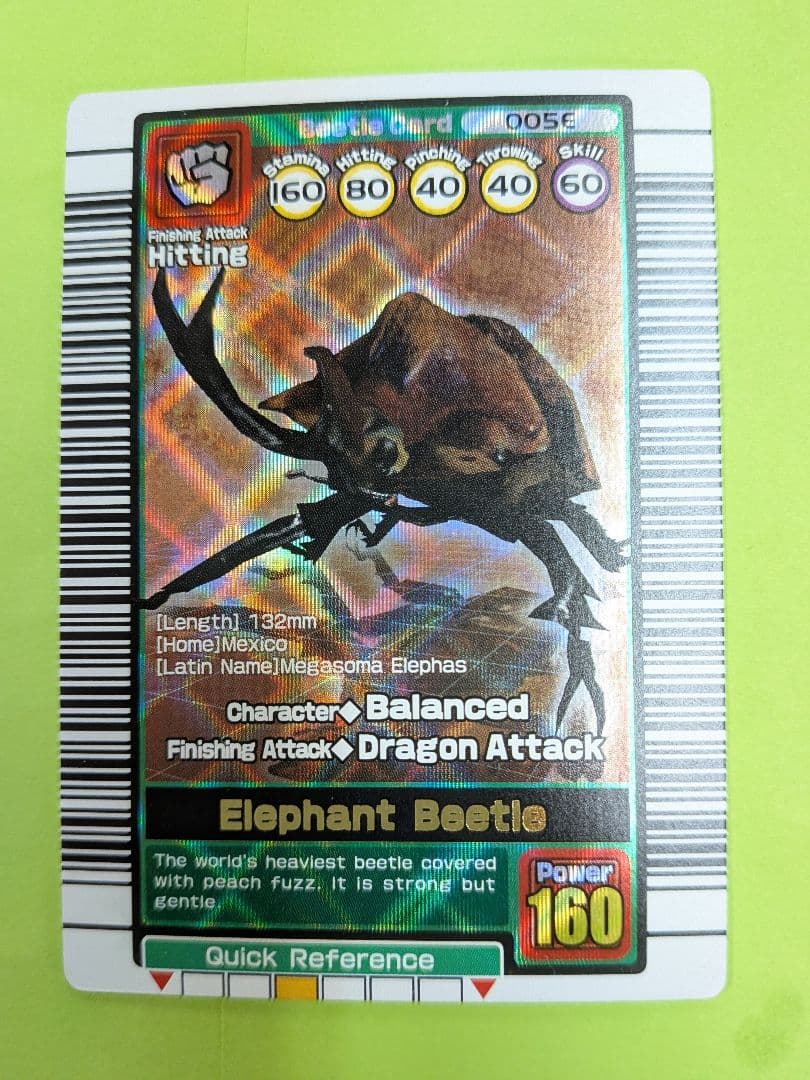 希少 英語版 ムシキング エレファスゾウカブト セアカフタマタクワガタ