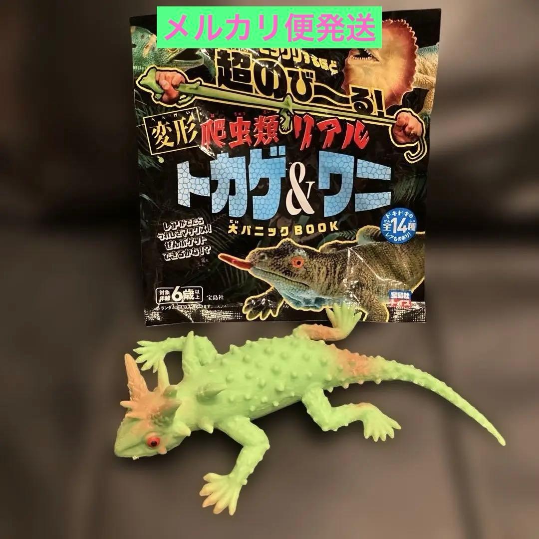 超のび～る！変形 爬虫類 リアル トカゲ＆ワニ ☆モロクトカゲ緑☆【即