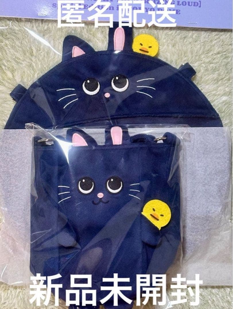 RIIZE ファンライトバッグ ウォンビン トニャンドク うちわホルダー