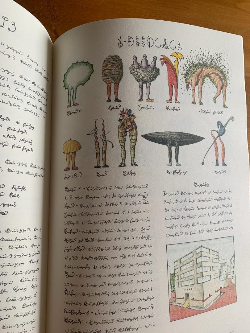 C*N様 Codex Seraphinianus 新しく特別な版 - メルカリ