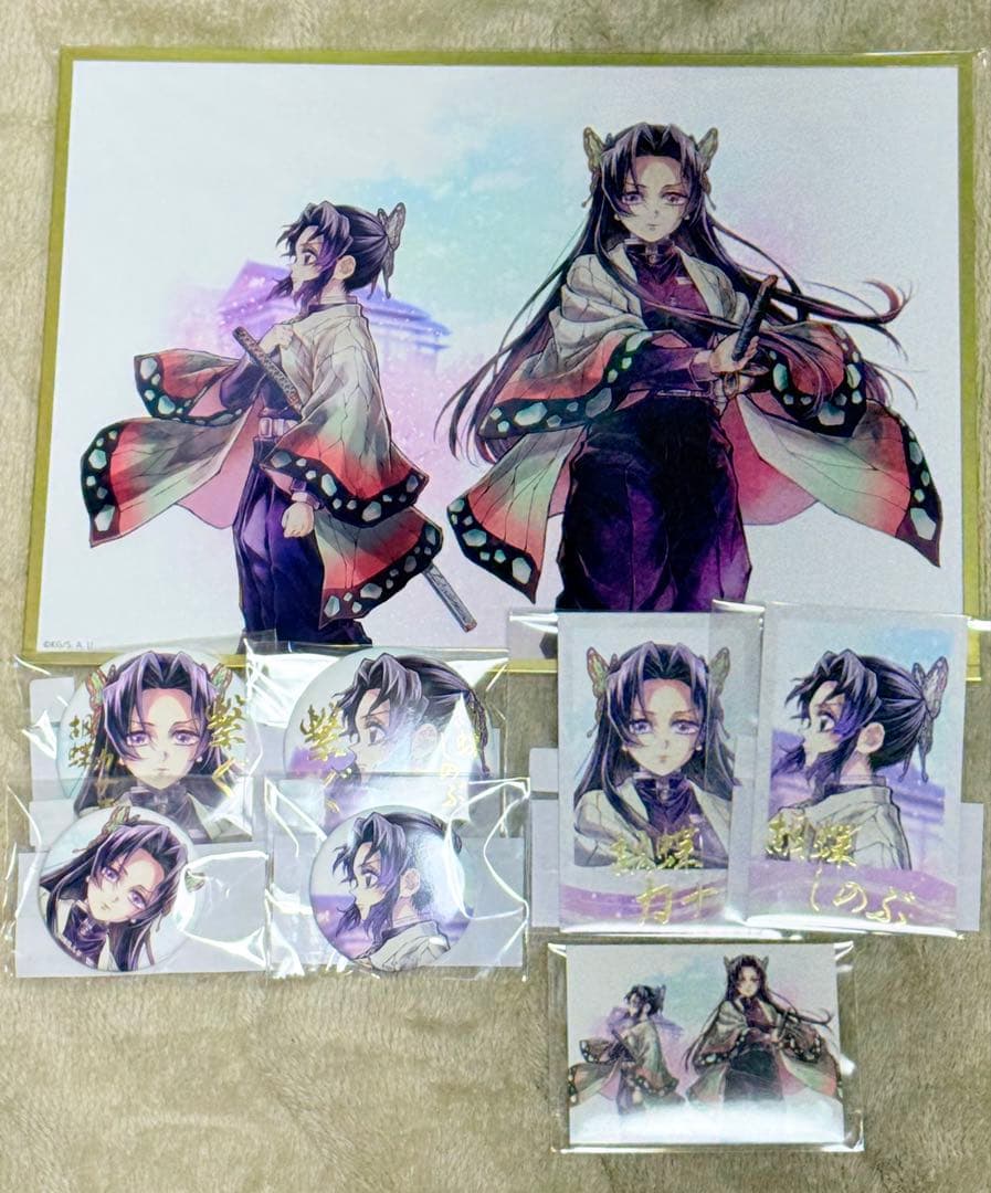 鬼滅の刃 WEBSHOPくじ 繋ぐ しのぶとカナエ セット 鬼滅の刃 WEBSHOPくじ 繋ぐ しのぶとカナエ D賞 チェキ風ブロマイド