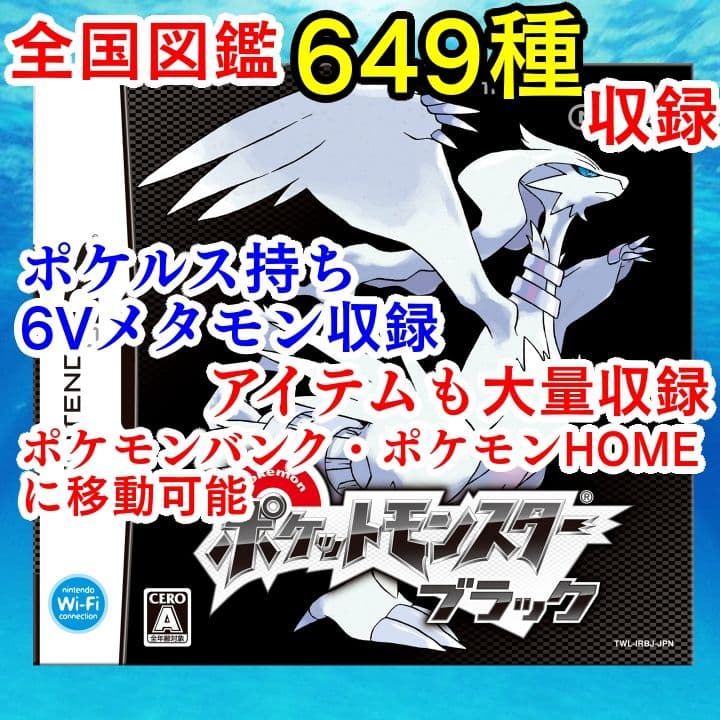 ポケットモンスター ブラック ニンテンドーDS ポケモン ブラック