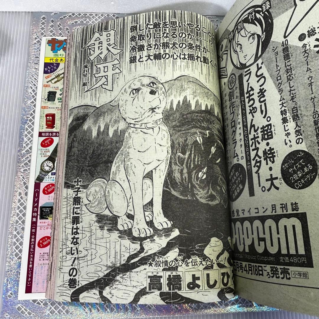 週刊少年ジャンプ 1984年4月23日 キン肉マン キャプテン翼 Drスランプ