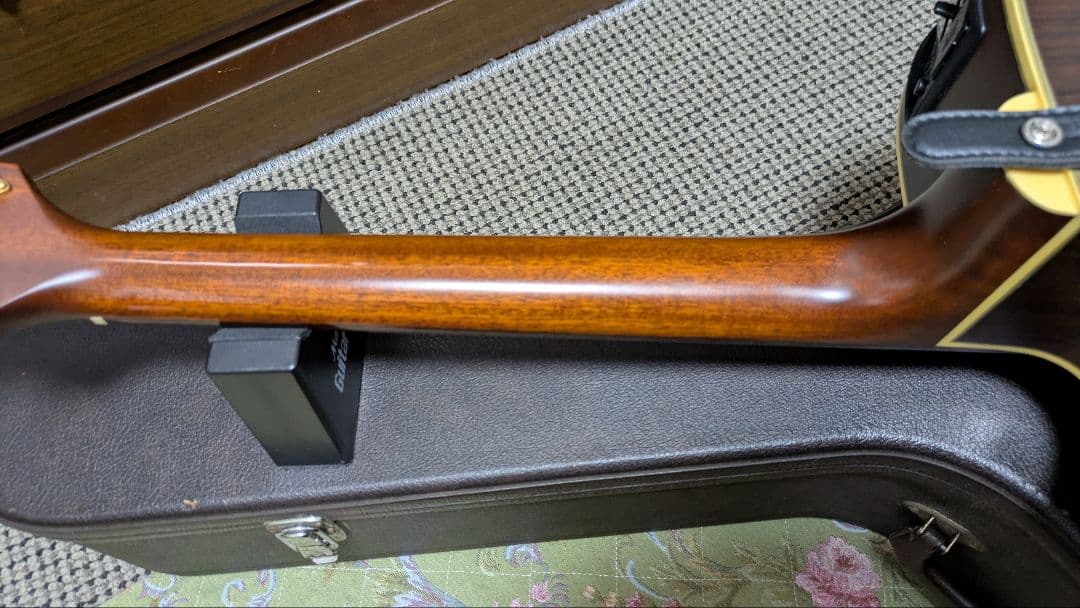 Takamine NPT-012BS【希少・名機】純正ハードケース付