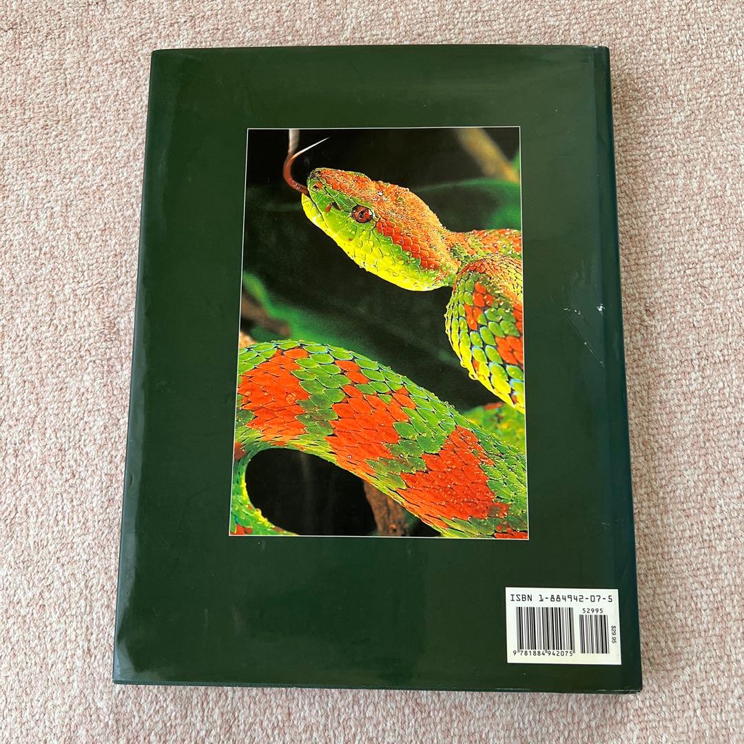 洋書 Reptiles & Amphibians 爬虫類、両生類 - メルカリ