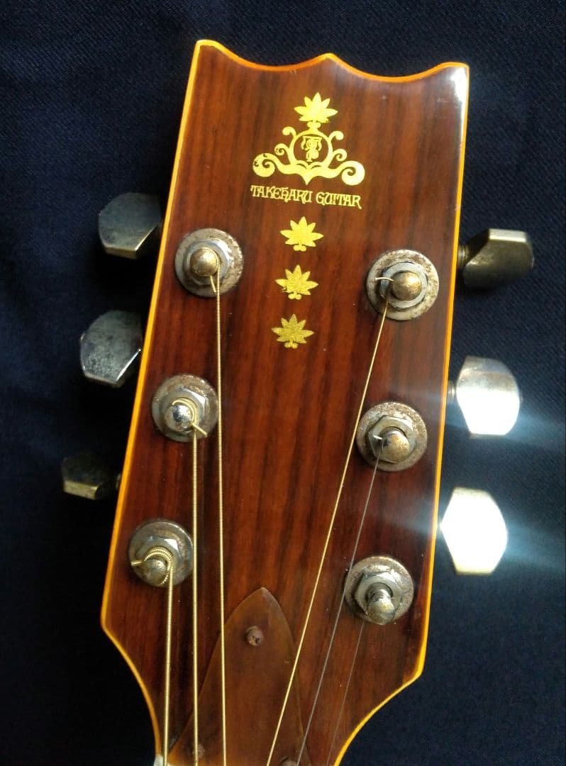 TAKEHARU GUITAR WT-250 made in Japan