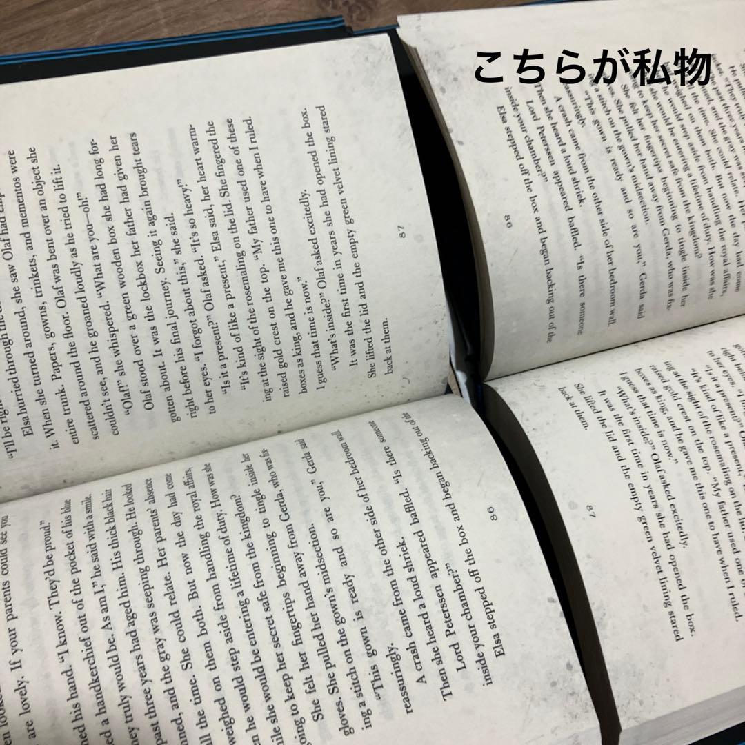 ジェン・カロニータ アナ雪 ゆがめられた世界 レット・イット・ゴー