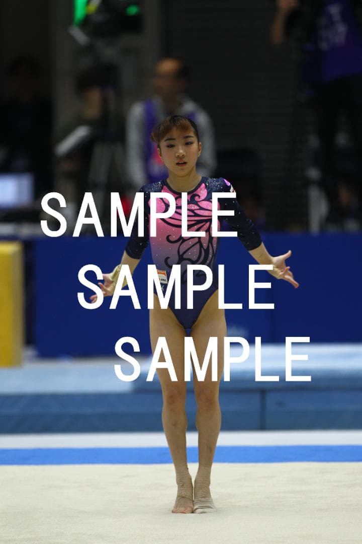 ☆9/30終売☆寺本明日香 画像集(2015～2019年) 約15,500枚