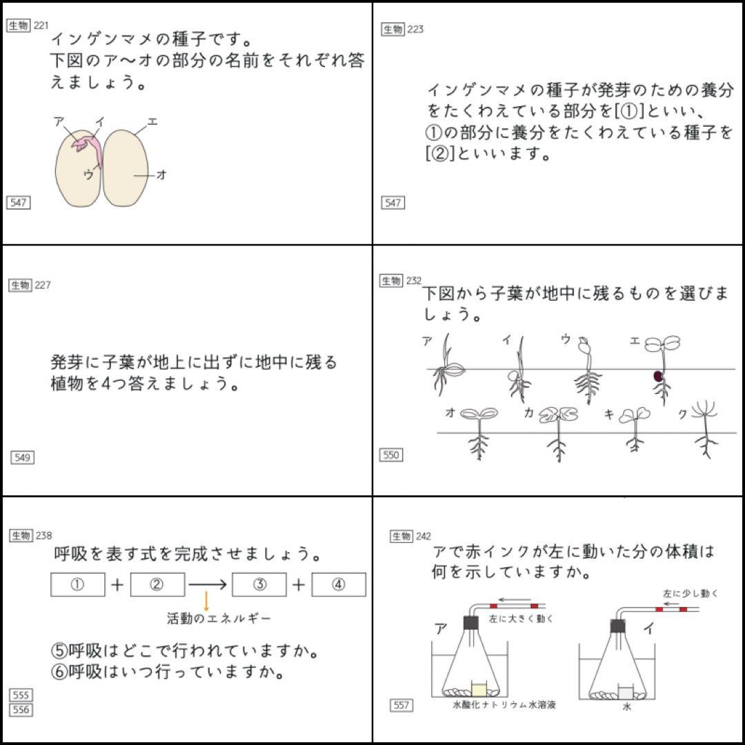 中学受験 暗記カード 理科 生物 サピックス 予習シリーズ コアプラス