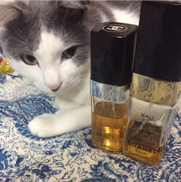 【お取り置き品】シャネル №５ 100ml／クリスタル 60ml クリスタル オードゥ トワレット - 100 ml | CHANEL シャネル