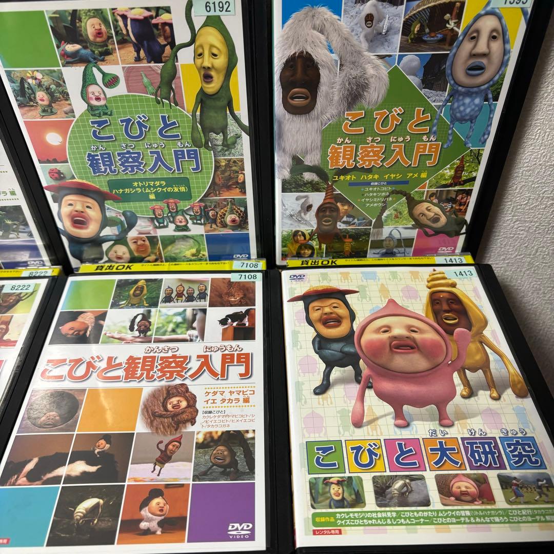 こびとづかん 観察入門 こびと大研究 DVD セット レンタルアップ 希少