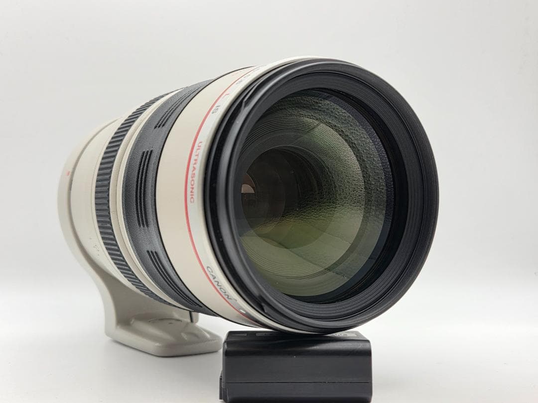 レンズ(ズーム) Canon EF 100-400mm F4.5-5.6 L IS USM